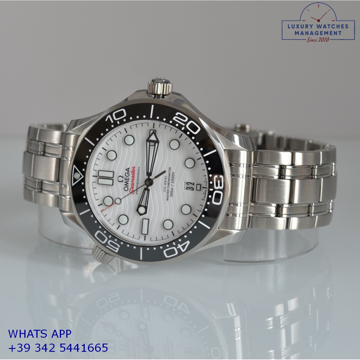 OMEGA SEAMASTER (10)