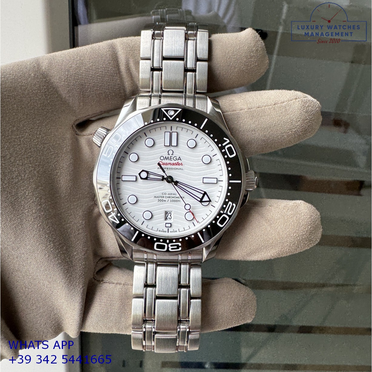 OMEGA SEAMASTER (18)