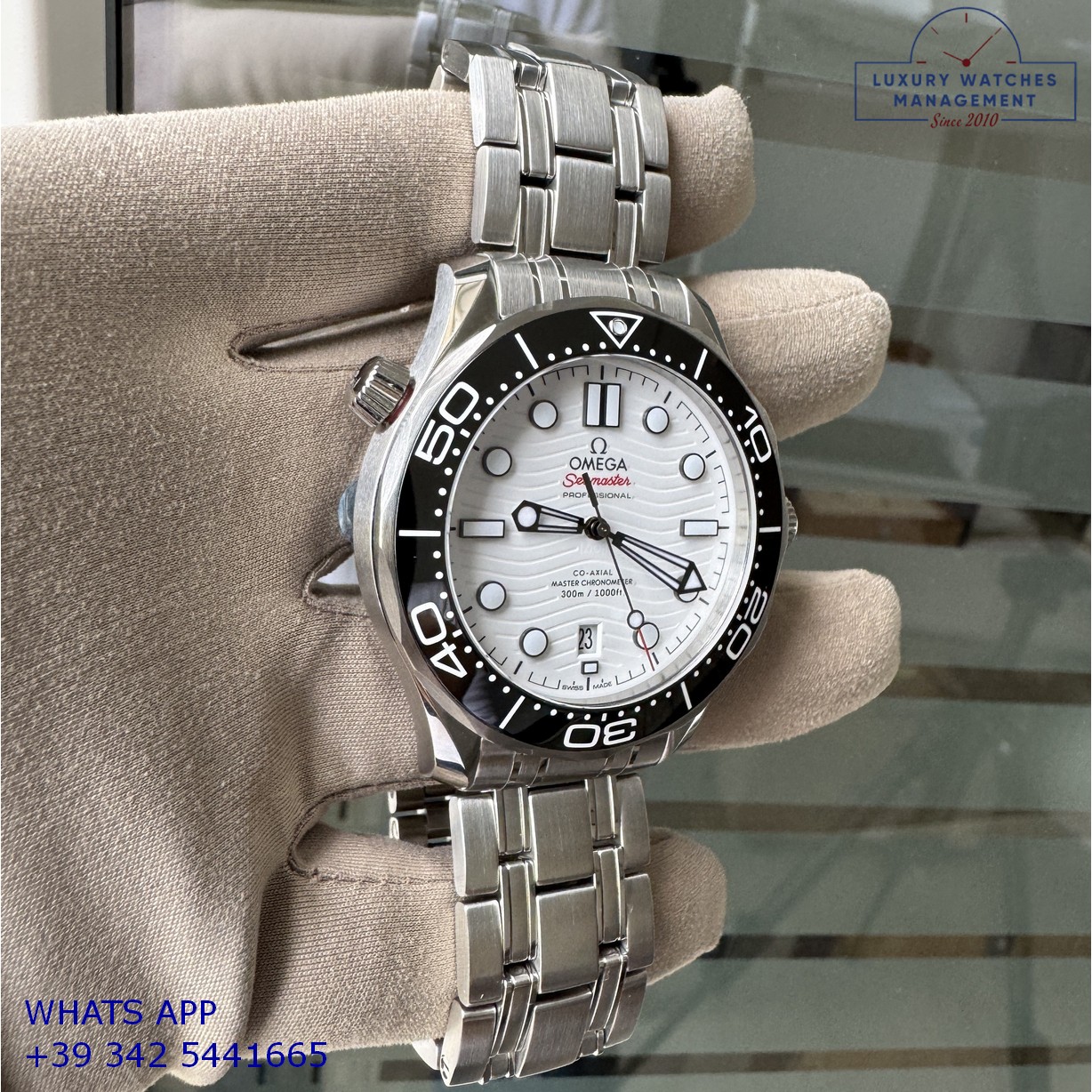 OMEGA SEAMASTER (19)