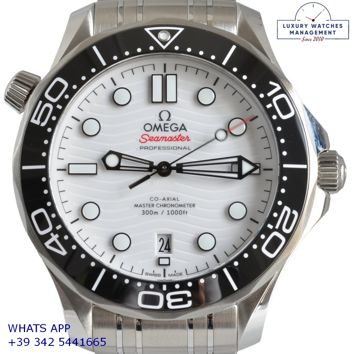 OMEGA SEAMASTER (4)