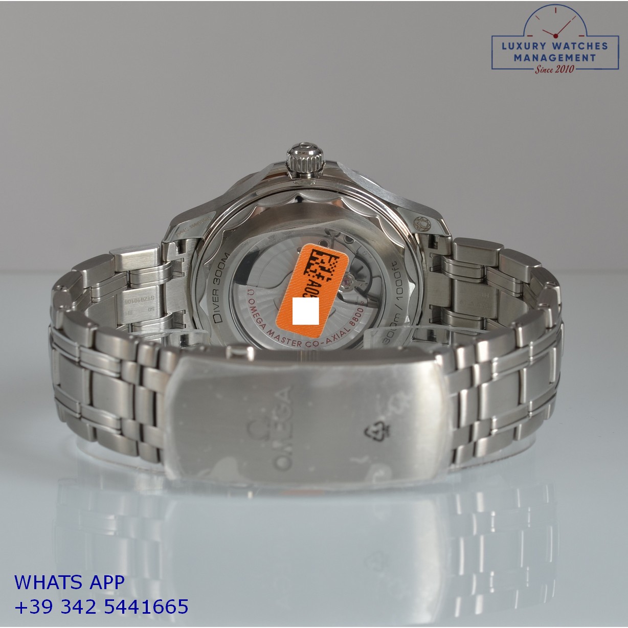 OMEGA SEAMASTER (9)