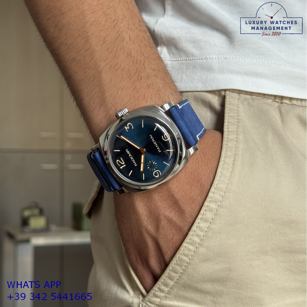 PANERAI RADIOMIR PAM00690 (21)